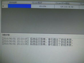 解析系统运行异常 索引超出数组界限及其在信息系统运维中的应对策略